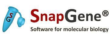 SnapGene 5.2.0 + Crack Free Full 2021 Latest Version for All Windows