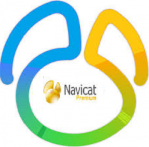 Navicat Premium 15.0.25 Crack Key 2021 Download [Latest]