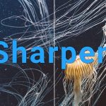 Topaz Sharpen AI 3.1.2 Crack Full Download 2021