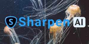 Topaz Sharpen AI 3.1.2 Crack Full Download 2021